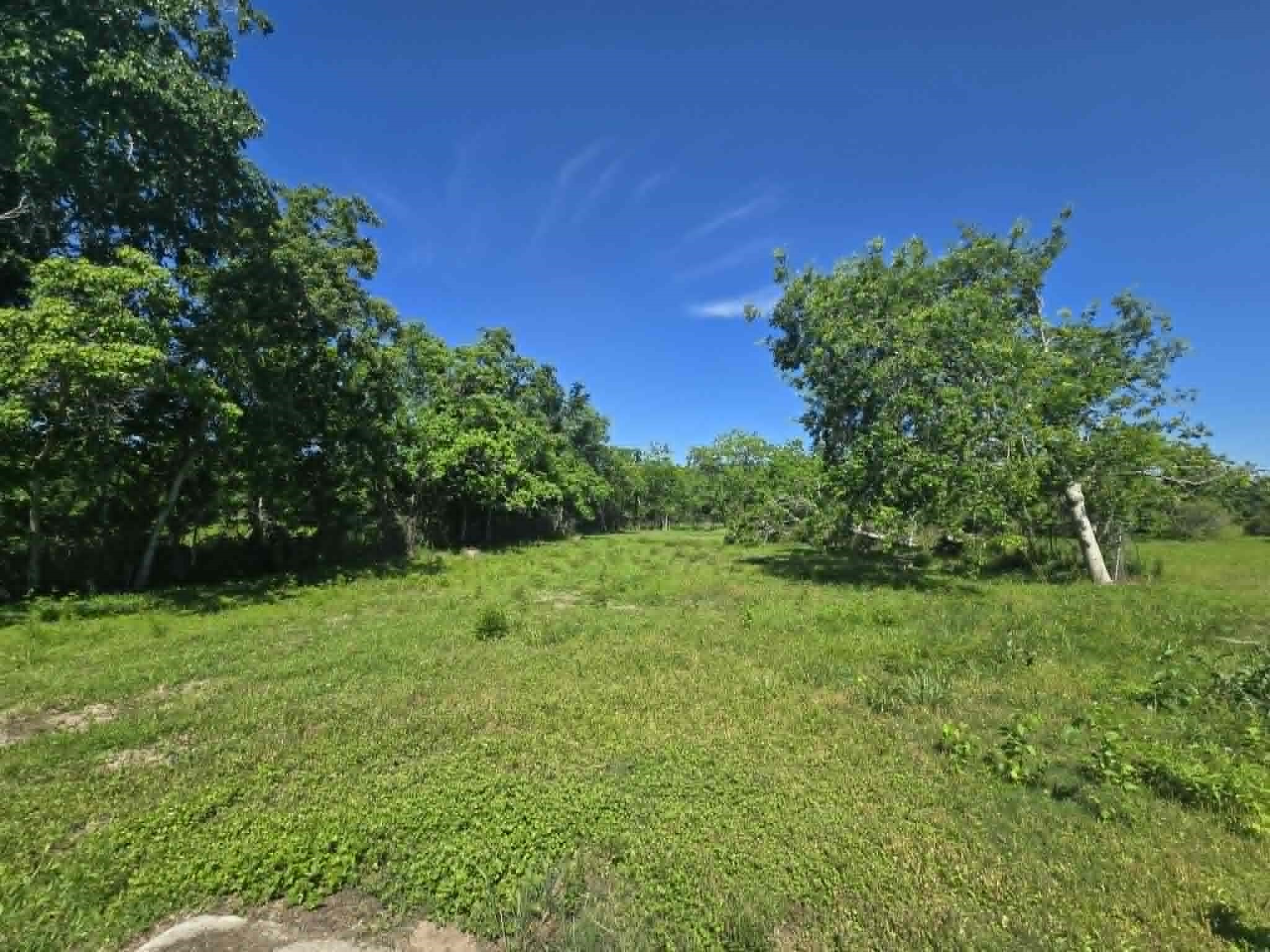 1115 Delany Road La Marque, TX 77568 - Photo 6 of 7 Back - Property is way past the wooded area