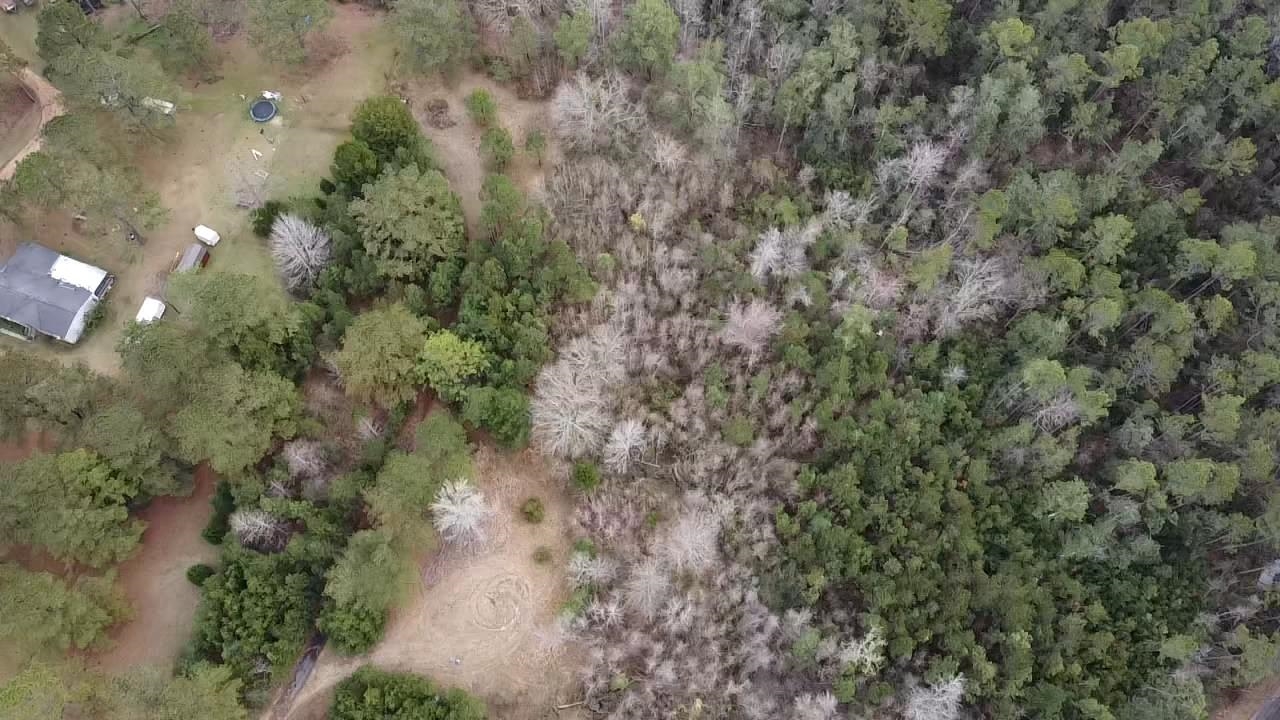 Scottish Lane Bay Minette, AL 36507 - Photo 4 of 25