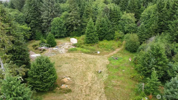 a view of a yard with plants