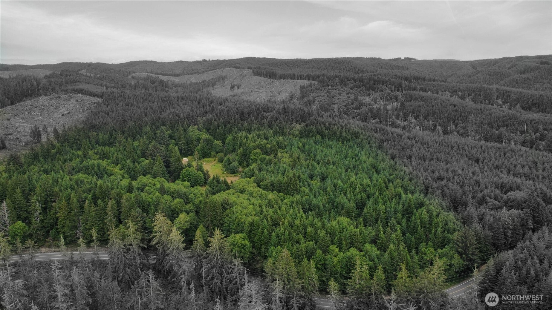 1608 East Hoquiam Road Hoquiam, WA 98550 - Photo 11 of 18 a view of a lush green forest with lush green forest