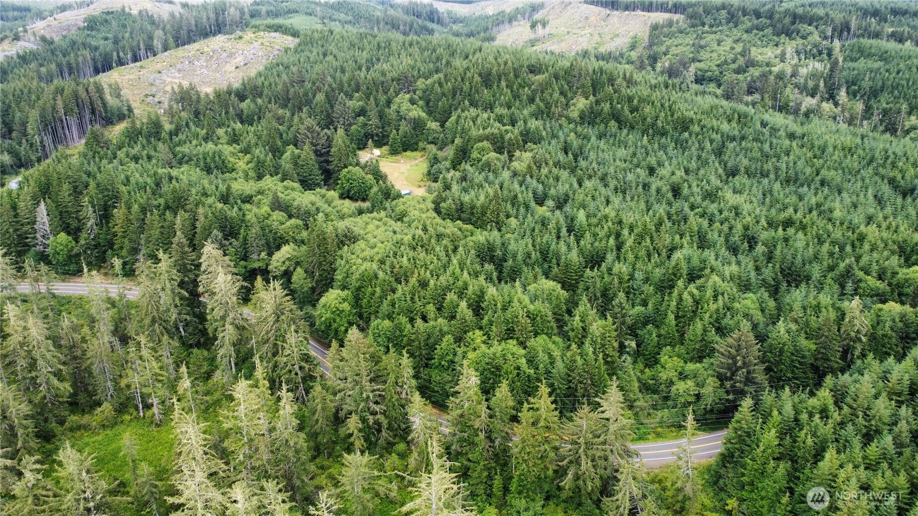 1608 East Hoquiam Road Hoquiam, WA 98550 - Photo 12 of 18 a view of a lush green forest