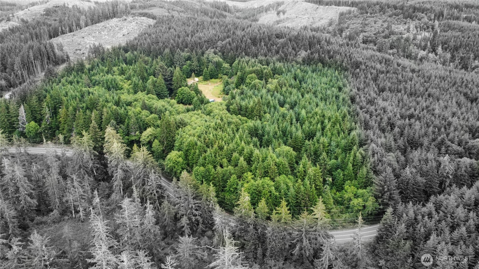 1608 East Hoquiam Road Hoquiam, WA 98550 - Photo 13 of 18 a view of a lush green forest with lots of trees