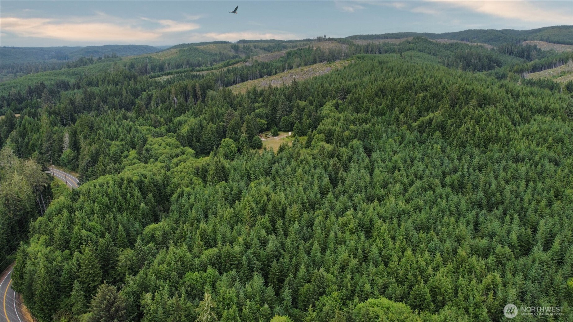 1608 East Hoquiam Road Hoquiam, WA 98550 - Photo 14 of 18 a view of a lush green forest with trees in the background