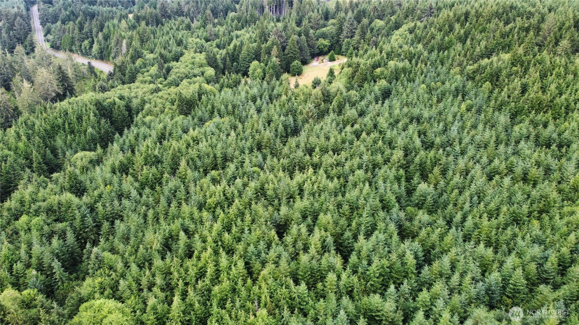 1608 East Hoquiam Road Hoquiam, WA 98550 - Photo 15 of 18 a view of a lush green forest