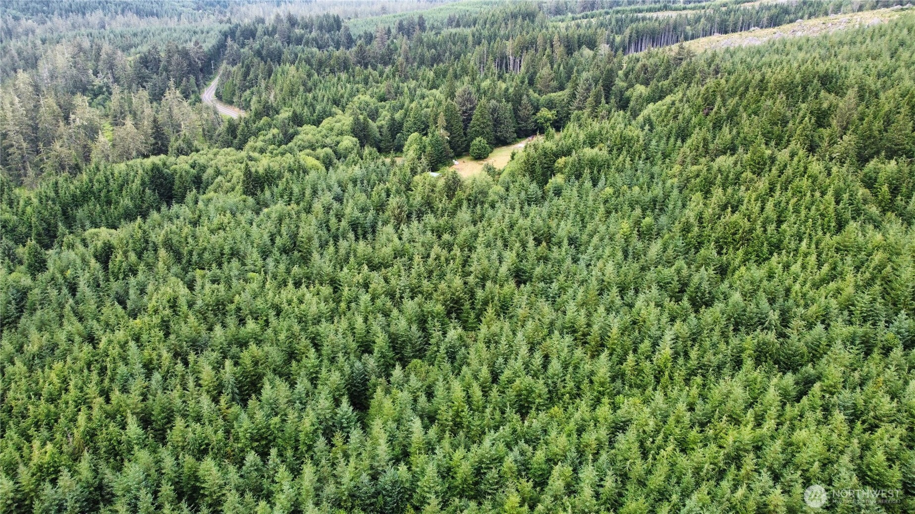 1608 East Hoquiam Road Hoquiam, WA 98550 - Photo 16 of 18 a view of a lush green forest