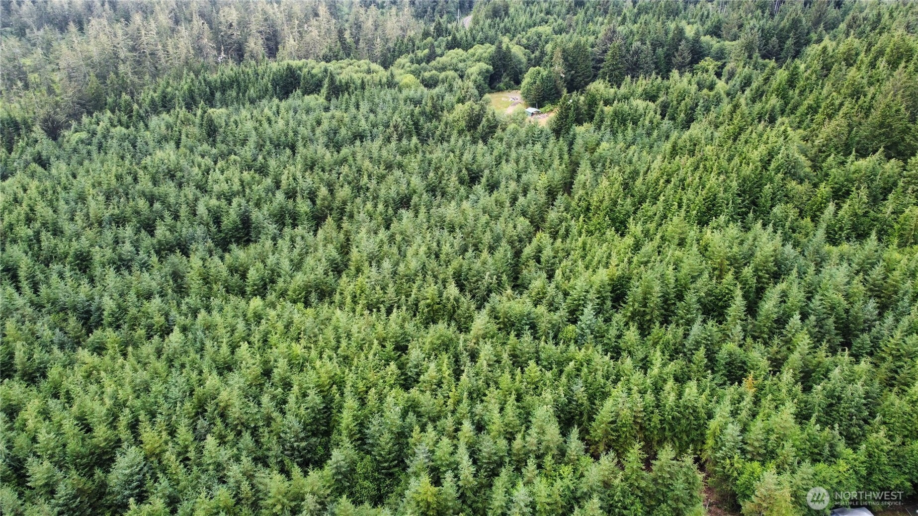 1608 East Hoquiam Road Hoquiam, WA 98550 - Photo 17 of 18