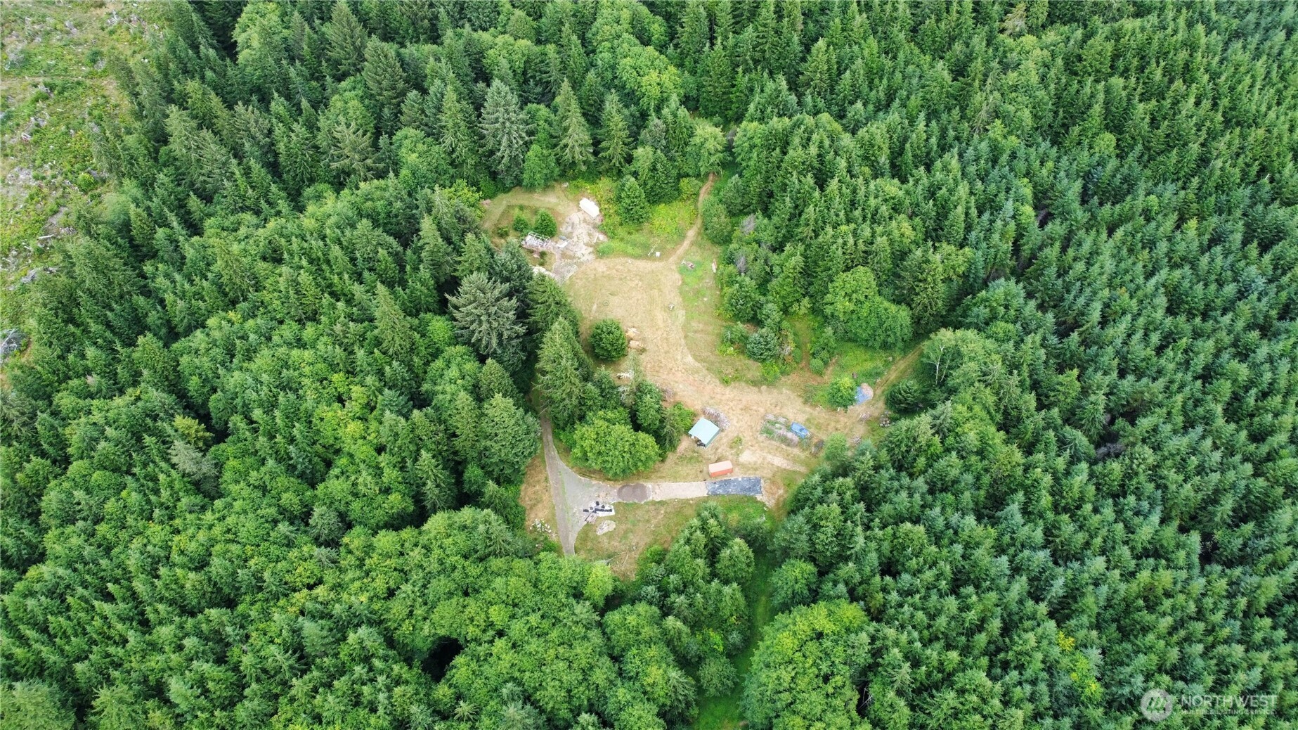 1608 East Hoquiam Road Hoquiam, WA 98550 - Photo 18 of 18 a view of a garden with a tree