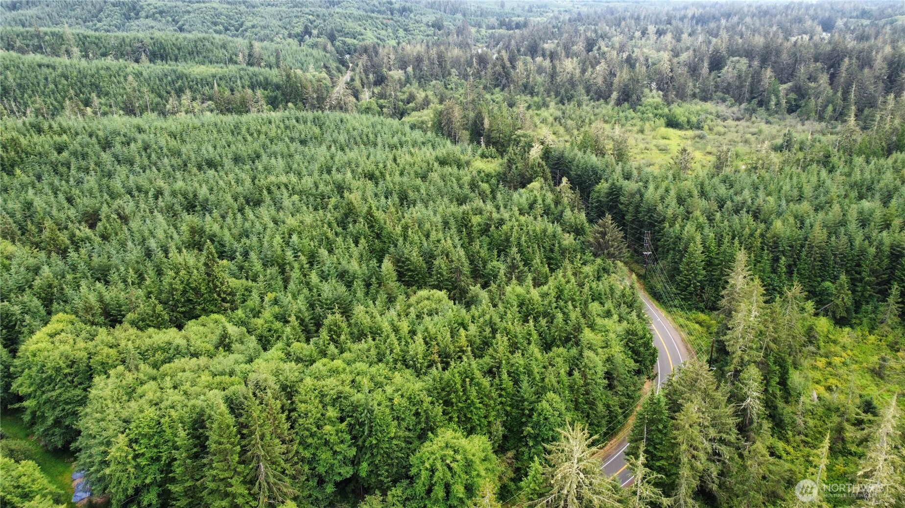 1608 East Hoquiam Road Hoquiam, WA 98550 - Photo 5 of 18 a view of a lush green forest with trees and grass