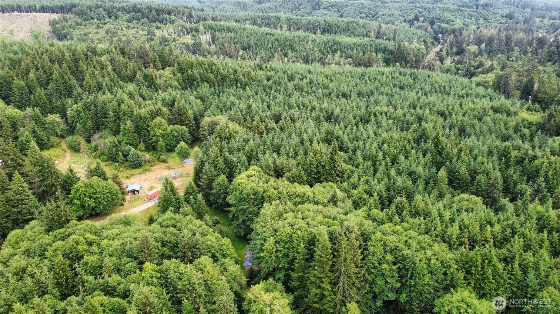 1608 East Hoquiam Road Hoquiam, WA 98550 - Photo 6 of 18 a view of a lush green forest