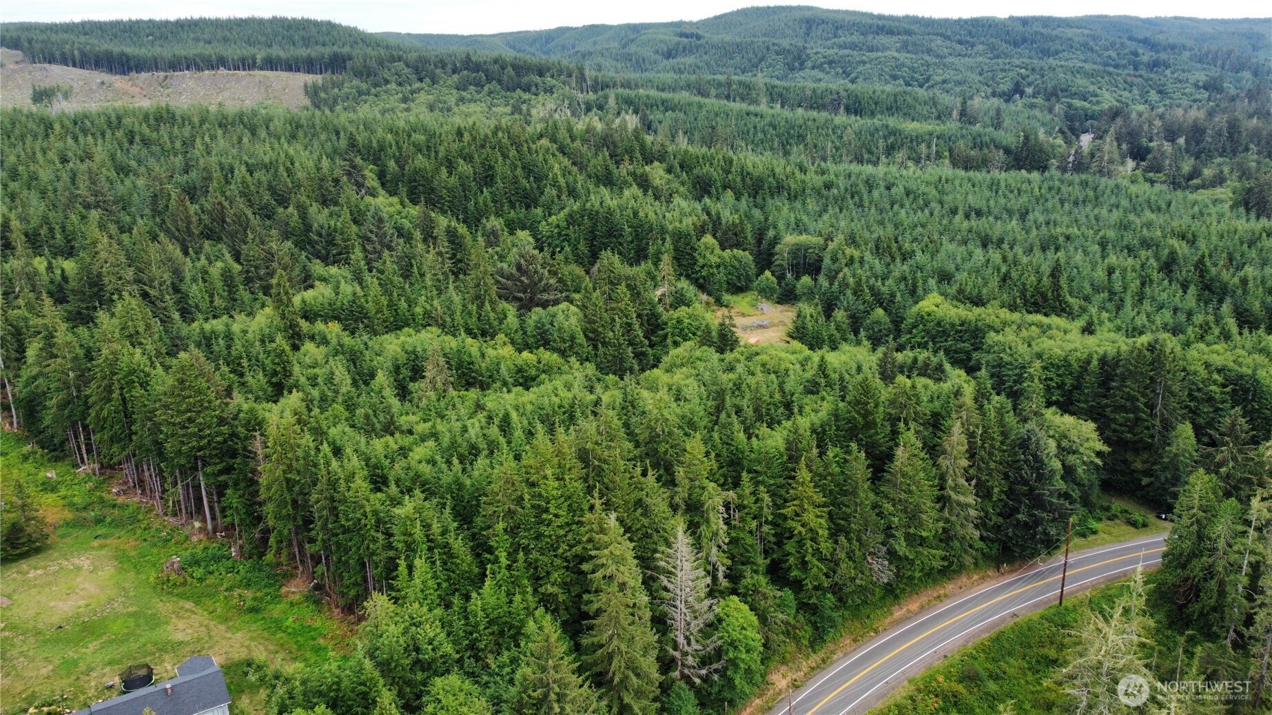 1608 East Hoquiam Road Hoquiam, WA 98550 - Photo 8 of 18 a view of a lush green forest with trees in the background