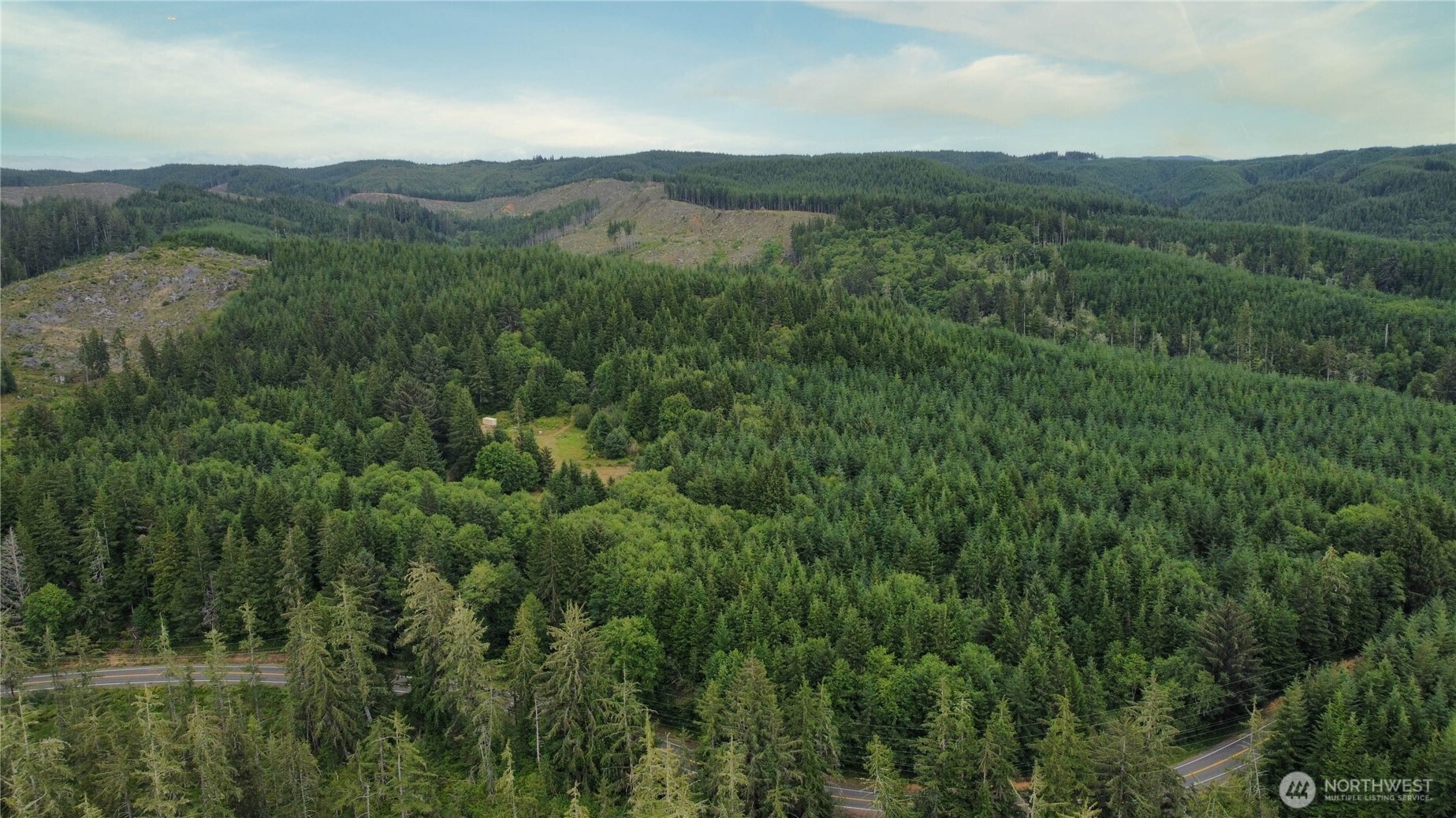 1608 East Hoquiam Road Hoquiam, WA 98550 - Photo 10 of 18 a view of a lush green forest with trees in the background