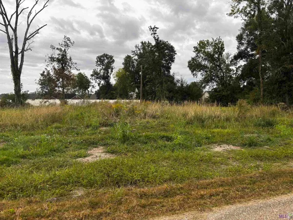$75,000 | 4-d-2 Courtney Road, Gonzales, LA 70737