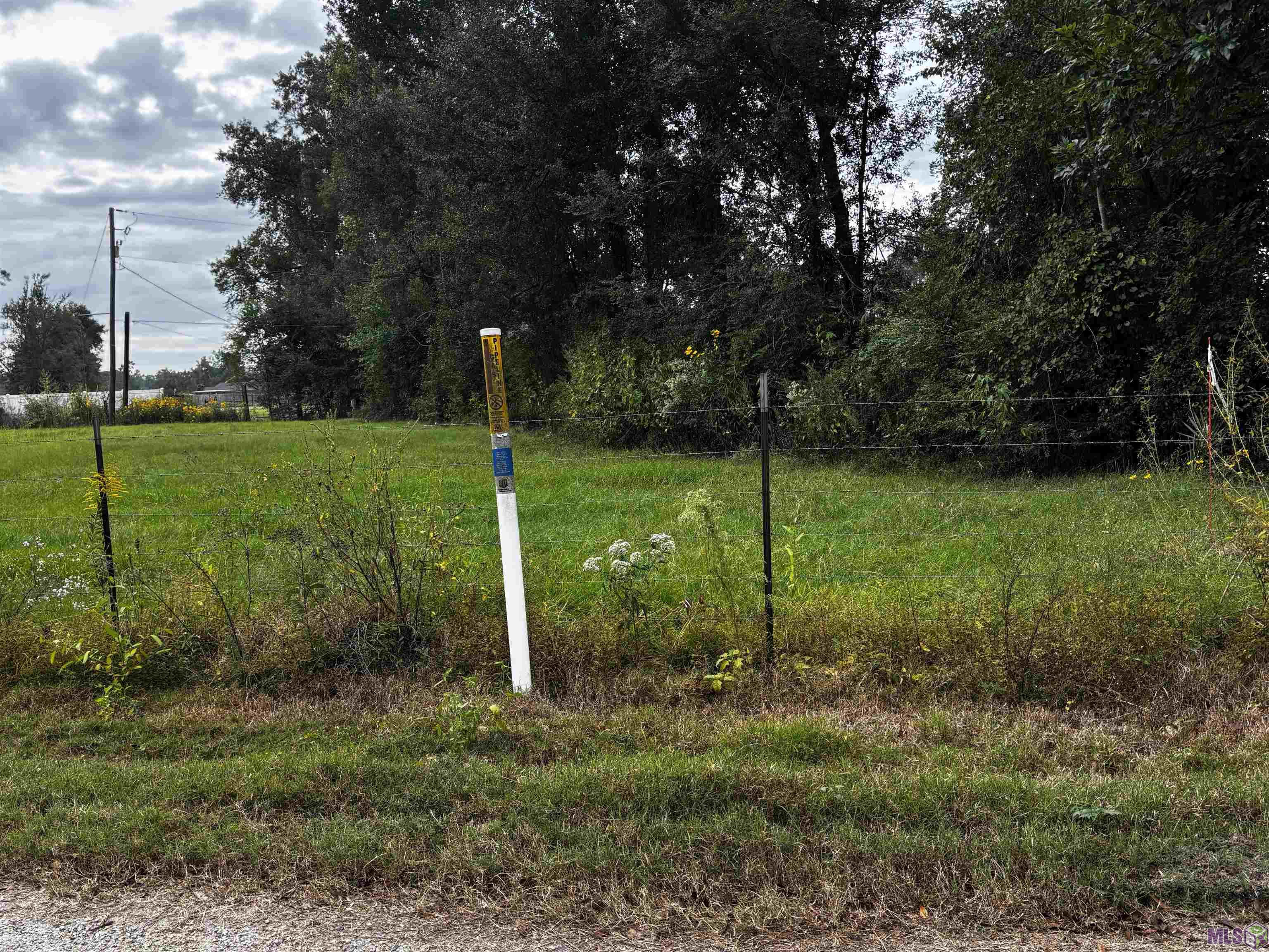 4-d-2 Courtney Road Gonzales, LA 70737 - Photo 3 of 5