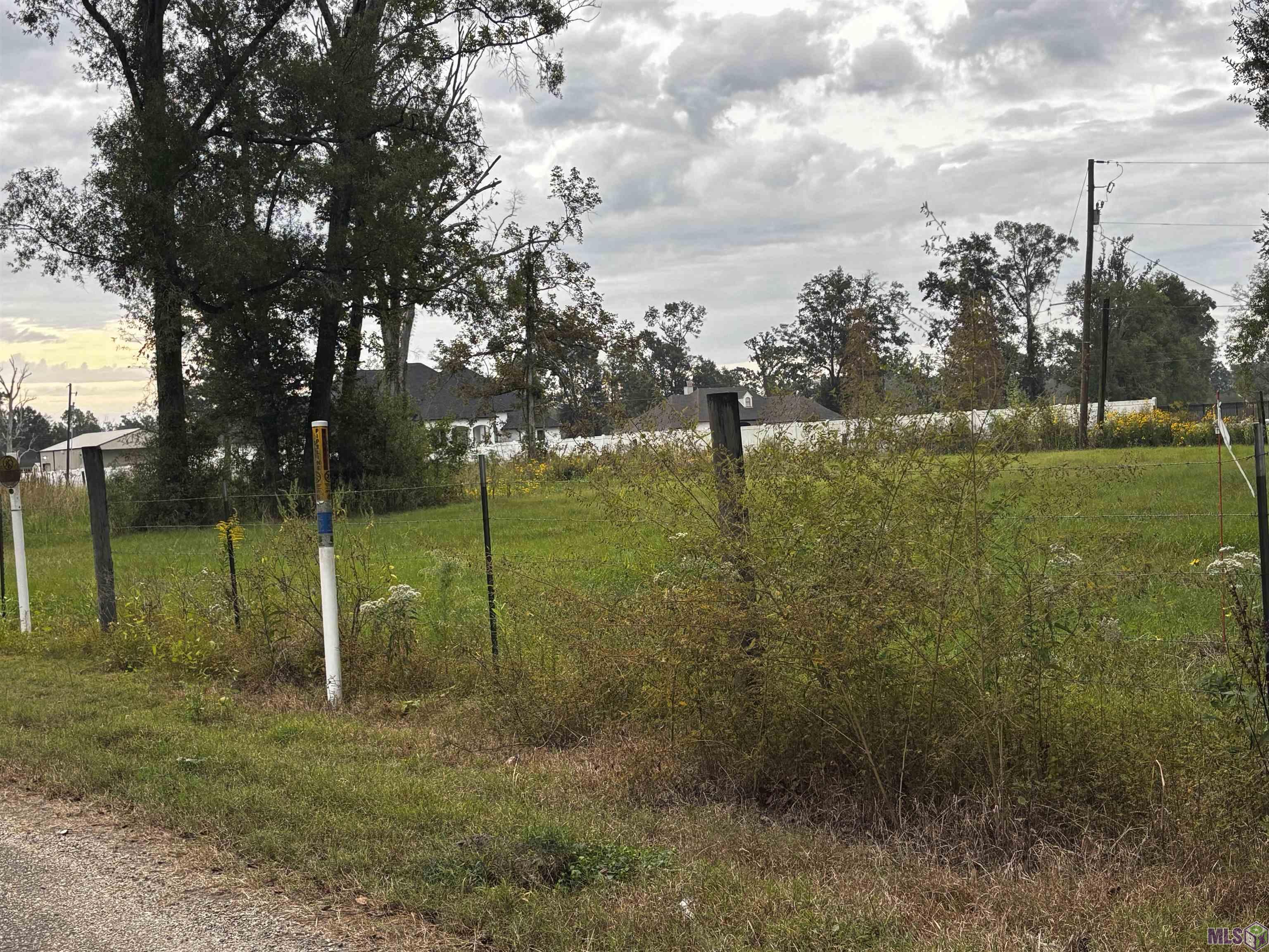 4-d-2 Courtney Road Gonzales, LA 70737 - Photo 4 of 5