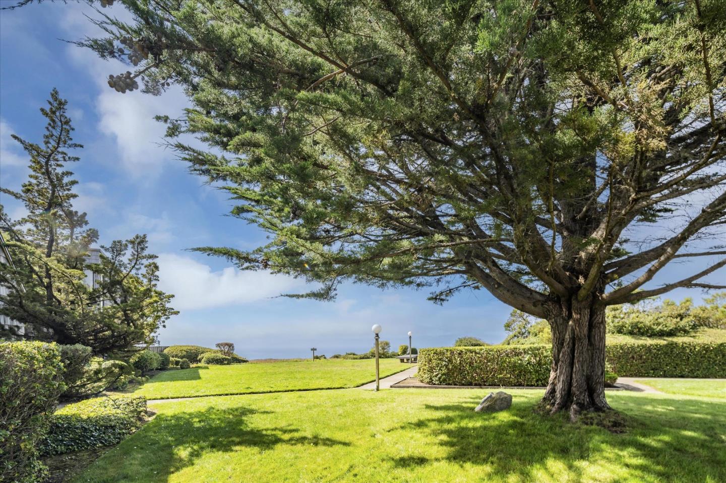 290 Beachview Avenue, Unit 39 Pacifica, CA 94044 - Photo 58 of 63 a view of a yard with plants and large trees