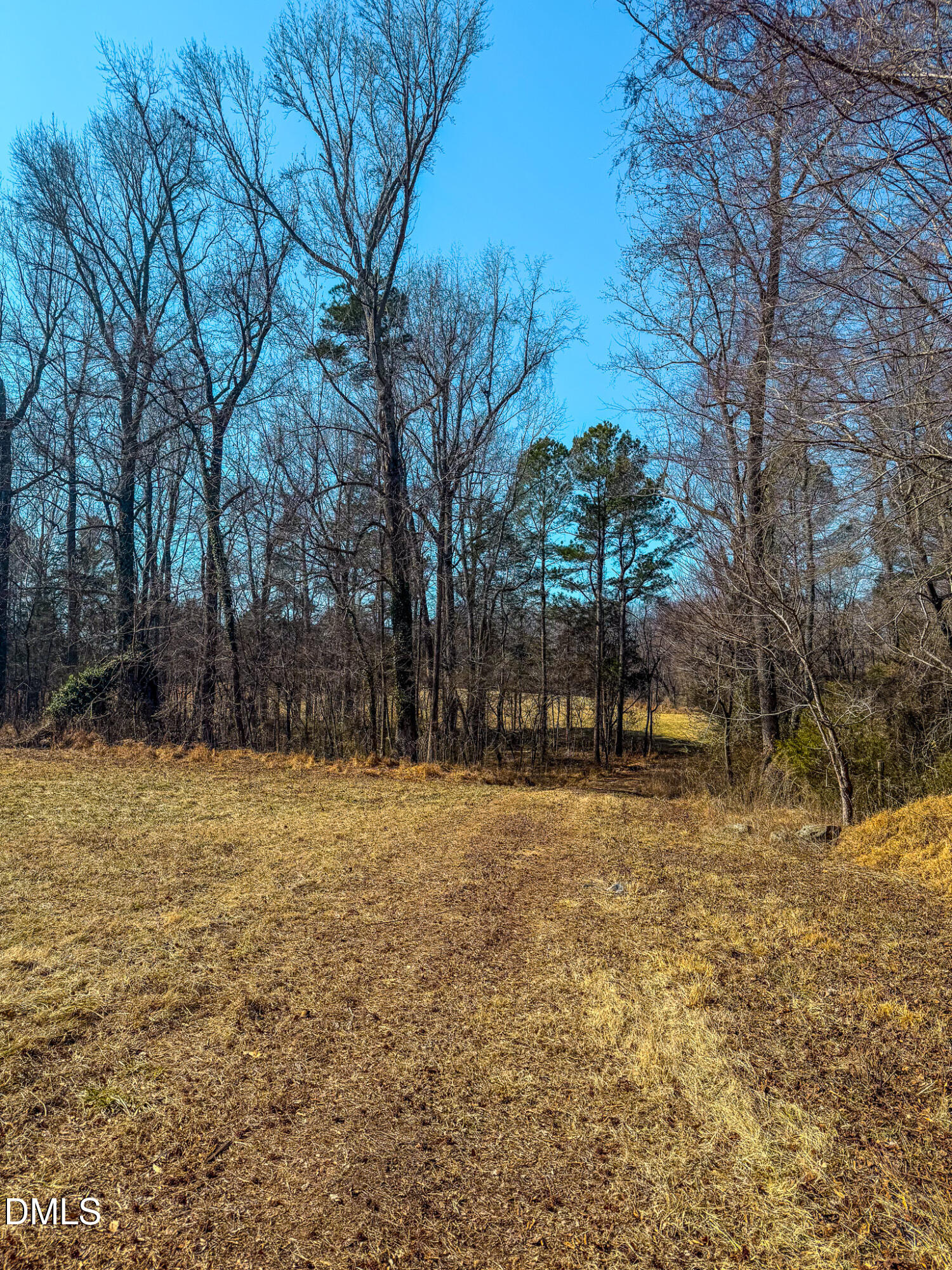 1710 Efland - Cedar Grove Road Efland, NC 27243 - Photo 11 of 13 IMG_7790