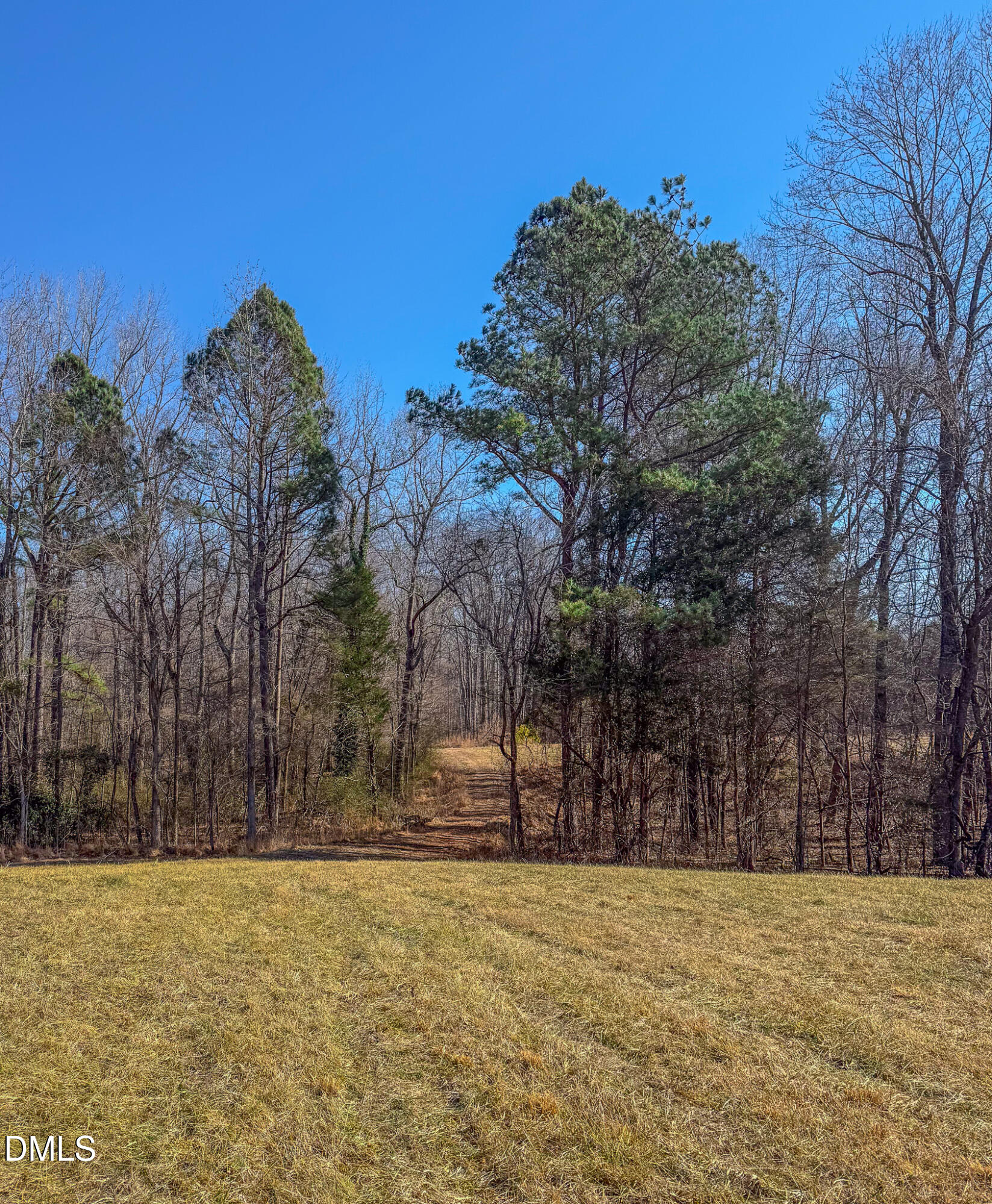 1710 Efland - Cedar Grove Road Efland, NC 27243 - Photo 2 of 13 IMG_7788