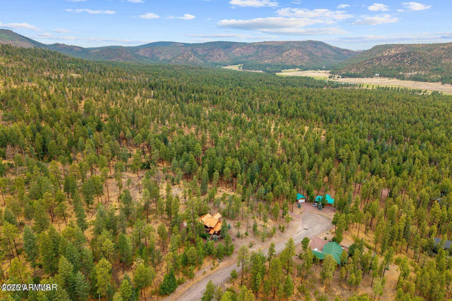 17 County Road 2195 Alpine, AZ 85920 - Photo 50 of 53 50