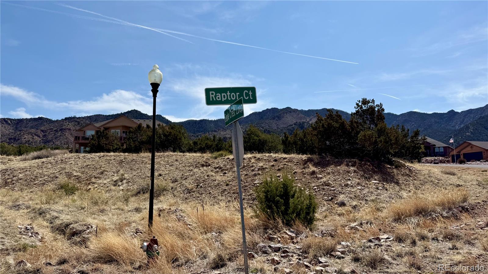 185 Raptor Court Canon City, CO 81212 - Photo 3 of 11 a view of a dry yard with a tree
