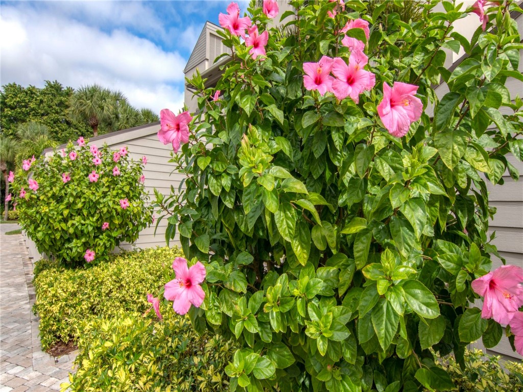 1880 Bay Road, Unit I319 Vero Beach, FL 32963 - Photo 36 of 36 a view of a flower