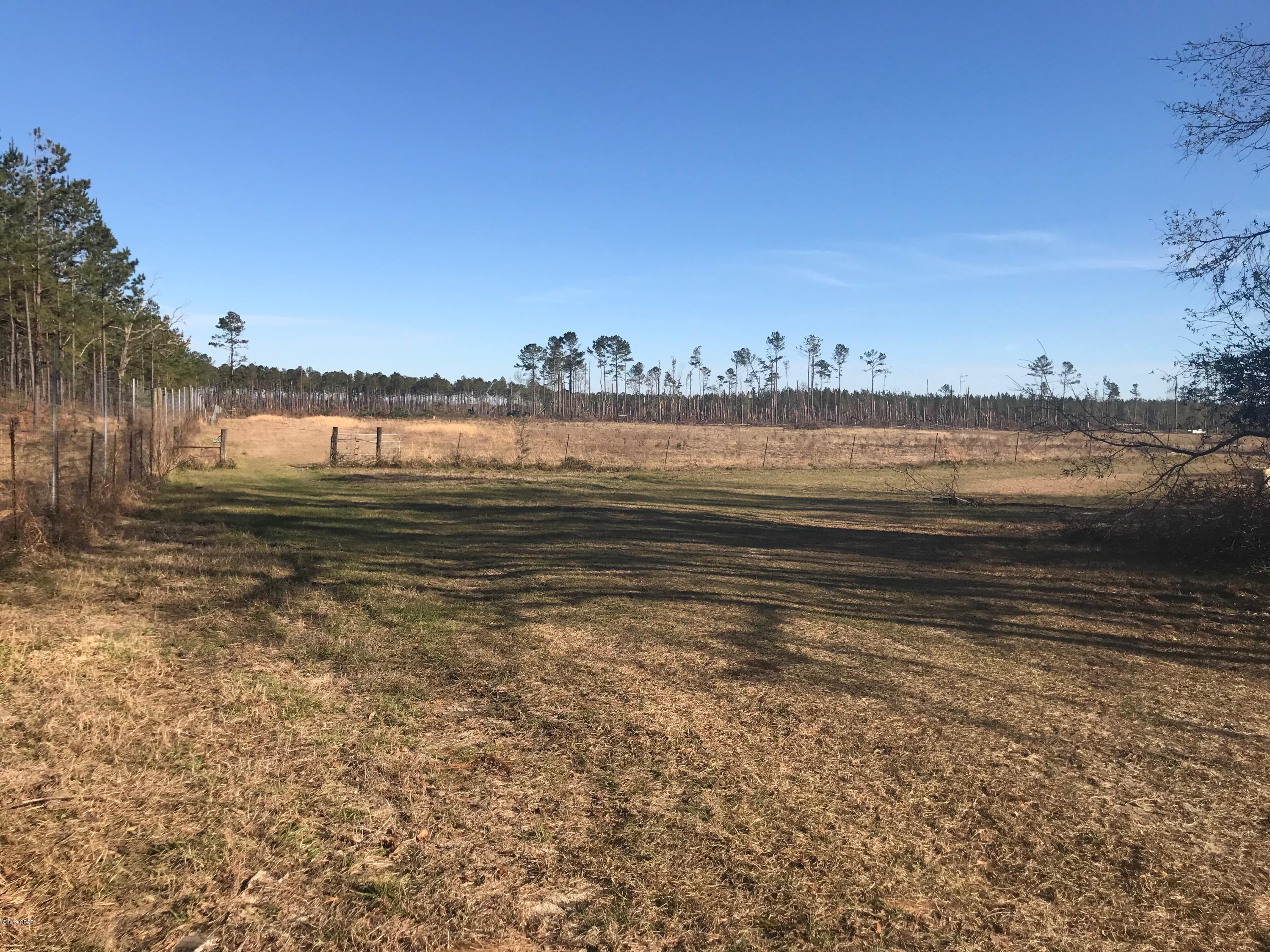 4500 River Road Sneads, FL 32460 - Photo 7 of 13