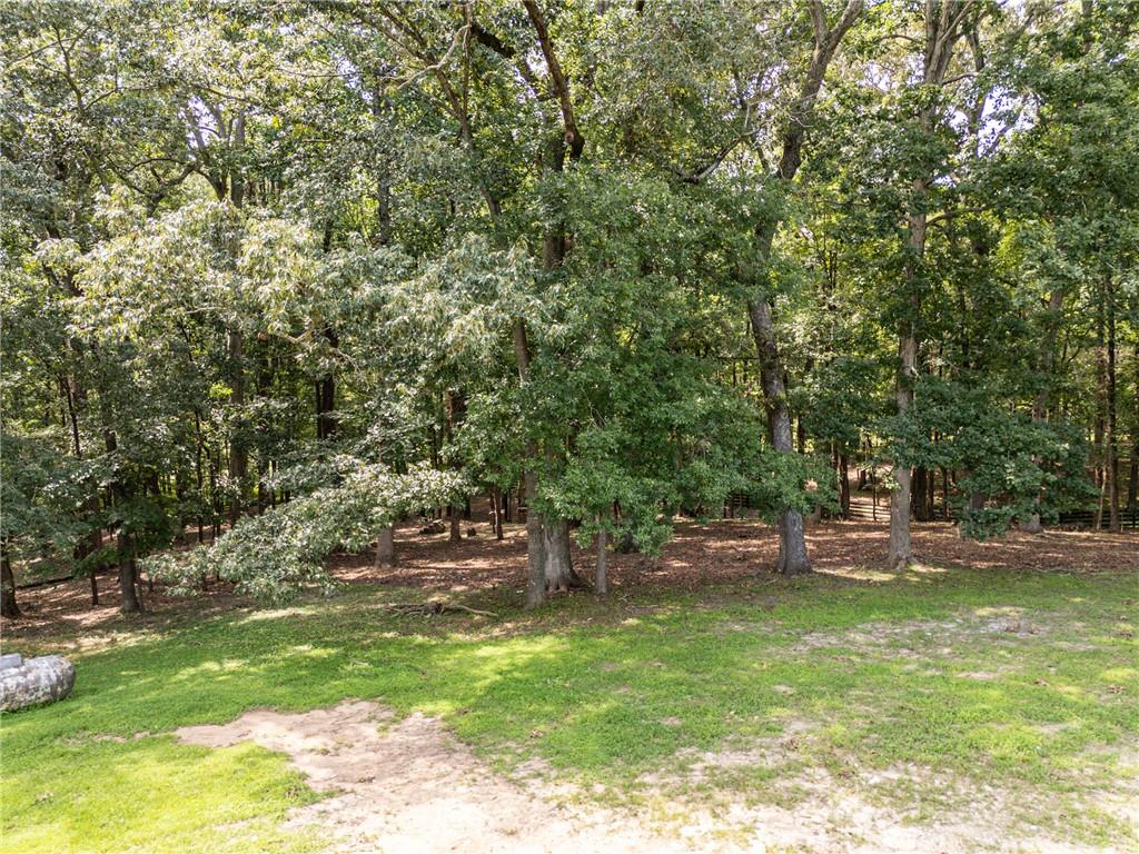 3049 Union Hill Road Alpharetta, GA 30004 - Photo 3 of 5
