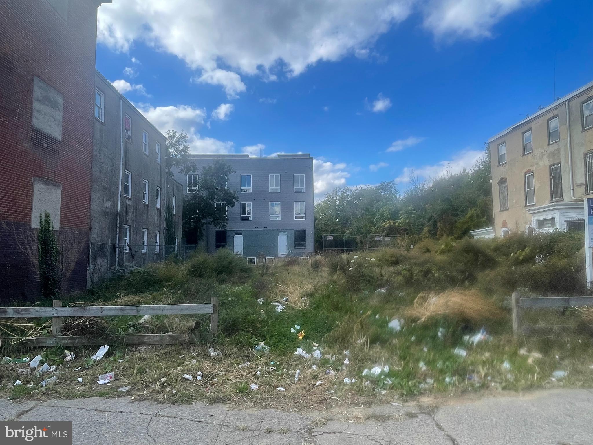 2014 North 22nd Street Philadelphia, PA 19121 - Photo 3 of 3 Urban decay meets nature's resilience.