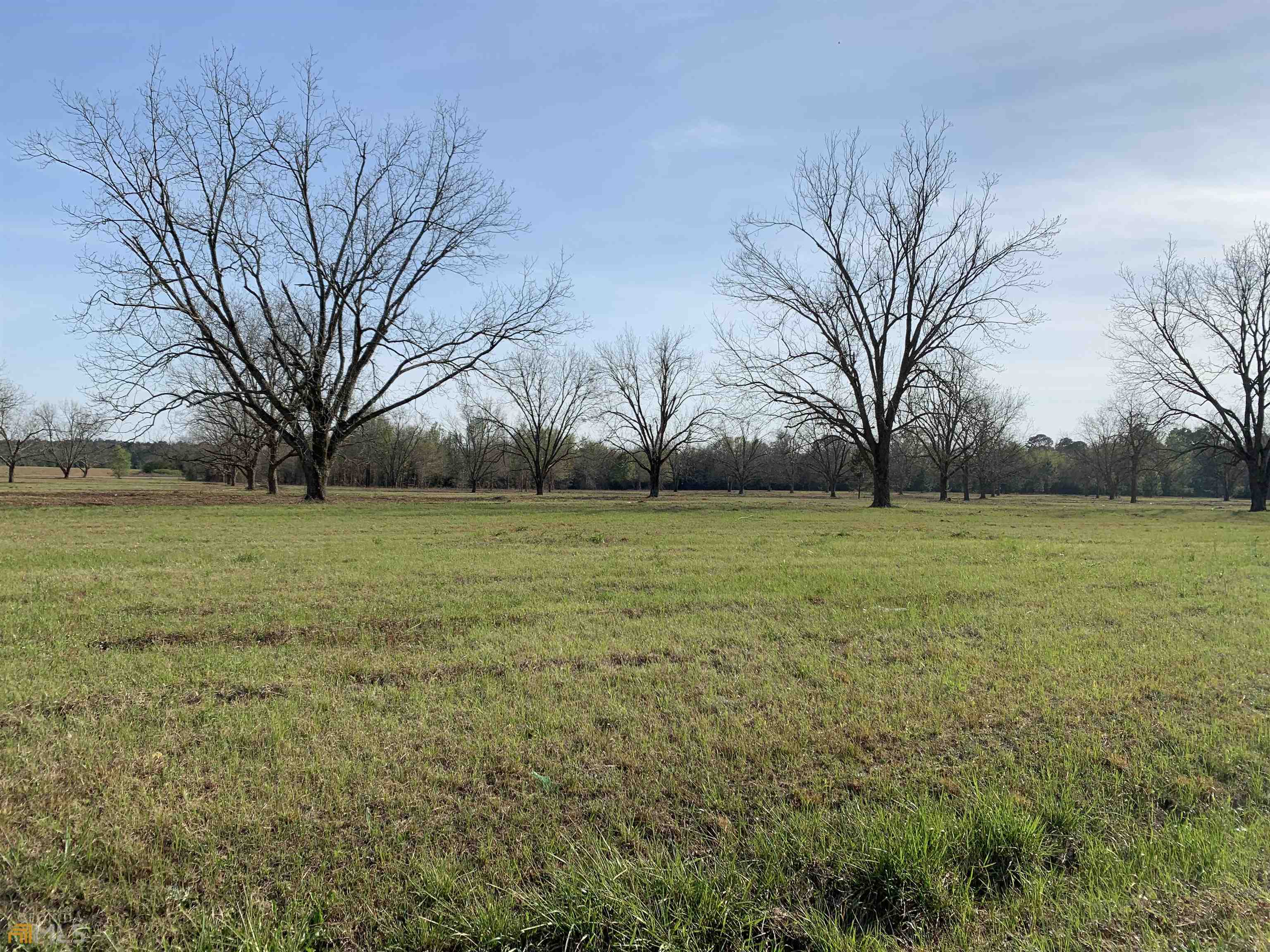 Lot 7 Fechtman Road Hawkinsville, GA 31036 - Photo 1 of 1 Gallery Image 1
