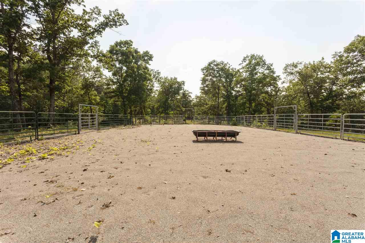 2734 Highway 331 Alabaster Al Chelsea, AL 35043 - Photo 42 of 42