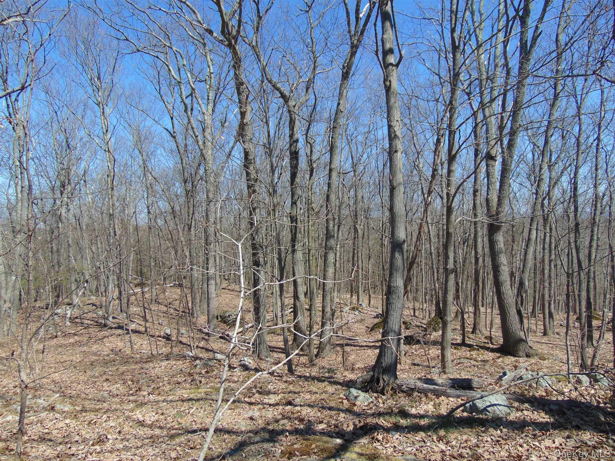 382 Cedar Hill Road Fishkill, NY 12524 - Photo 14 of 20