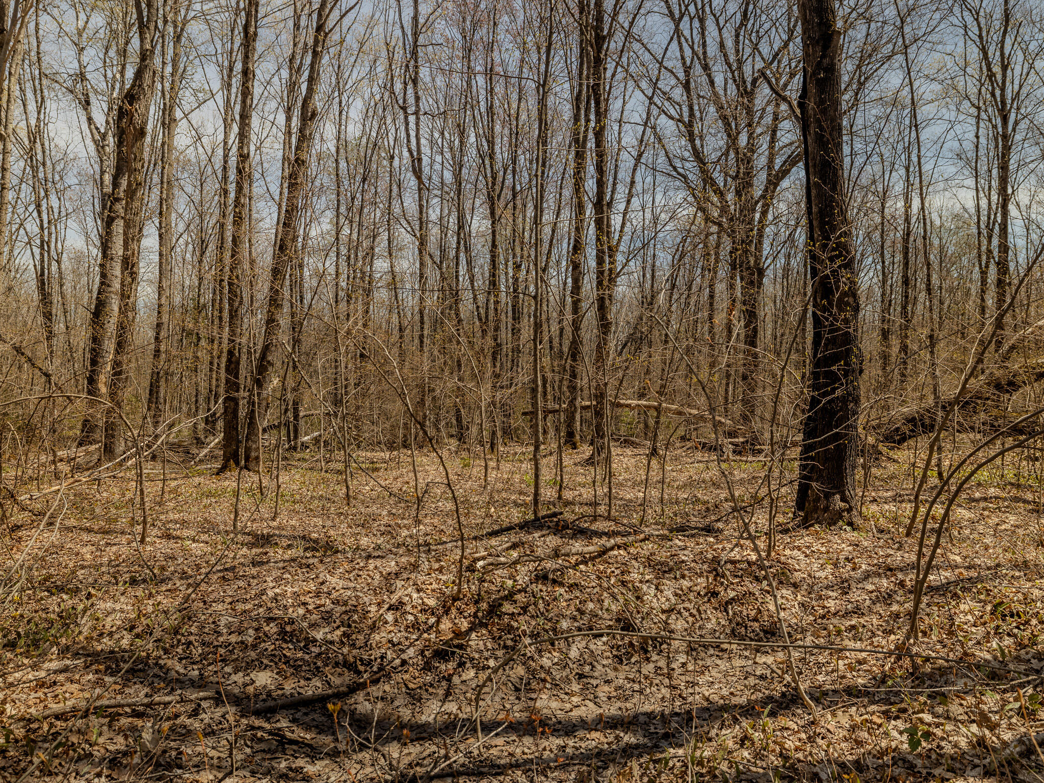 Lot3 East Shore Road Ewen, MI 49925 - Photo 14 of 25 048A2052-HDR