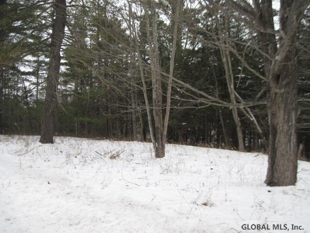 0 Switz Kill Road, Unit STATE ROUTE 1 Westerlo, NY 12193 - Photo 1 of 8 Photo 1