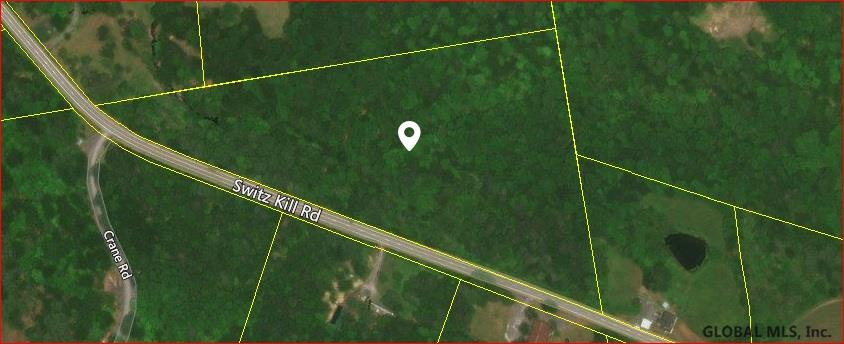 0 Switz Kill Road, Unit STATE ROUTE 1 Westerlo, NY 12193 - Photo 2 of 8 Photo 2