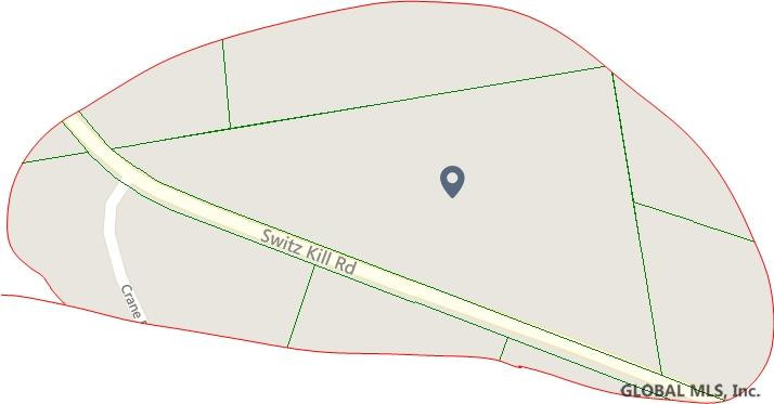 0 Switz Kill Road, Unit STATE ROUTE 1 Westerlo, NY 12193 - Photo 3 of 8 Photo 3