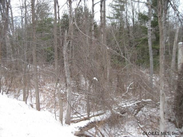 0 Switz Kill Road, Unit STATE ROUTE 1 Westerlo, NY 12193 - Photo 4 of 8 Photo 4