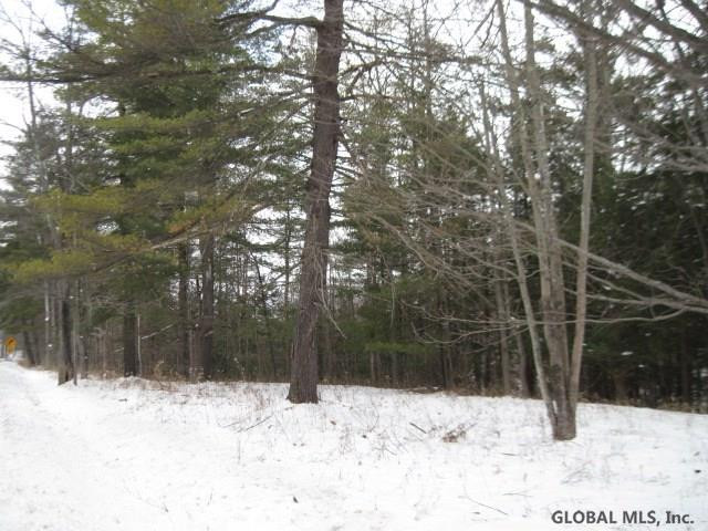0 Switz Kill Road, Unit STATE ROUTE 1 Westerlo, NY 12193 - Photo 5 of 8 Photo 6