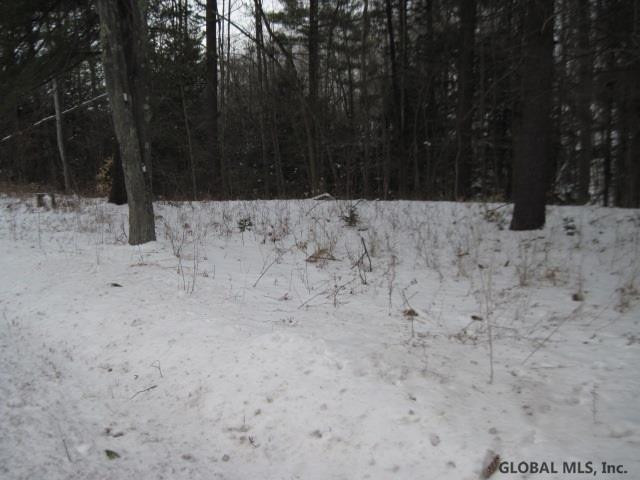 0 Switz Kill Road, Unit STATE ROUTE 1 Westerlo, NY 12193 - Photo 6 of 8 Photo 7