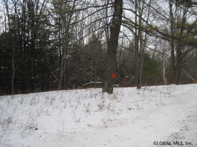 0 Switz Kill Road, Unit STATE ROUTE 1 Westerlo, NY 12193 - Photo 7 of 8 Photo 8