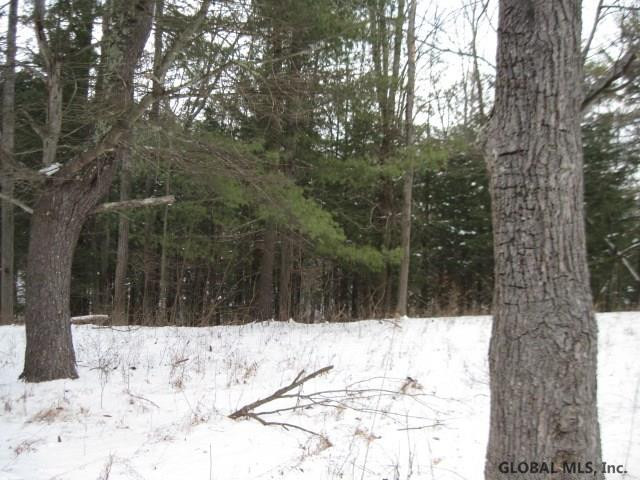 0 Switz Kill Road, Unit STATE ROUTE 1 Westerlo, NY 12193 - Photo 8 of 8 Photo 9