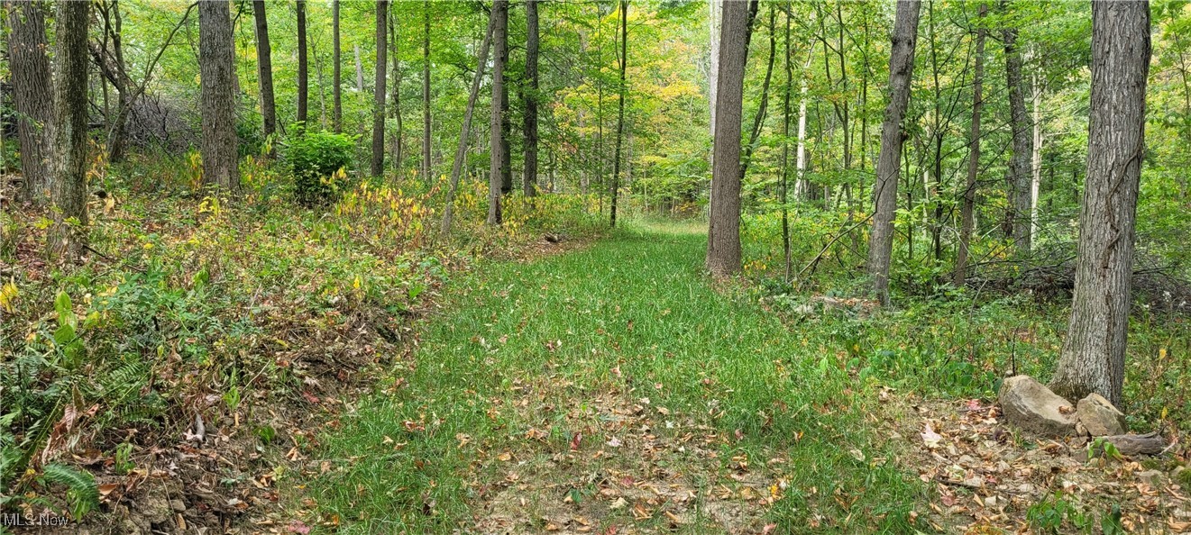 343 County Road Coshocton, OH 43812 - Photo 14 of 49 Gallery Image 14