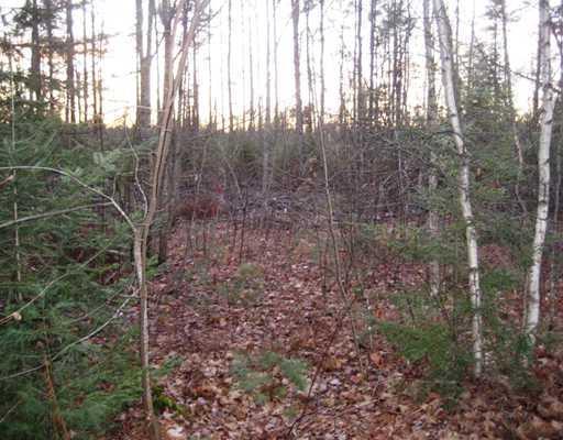260 River Road Limington, ME 04049 - Photo 10 of 16 Land/Lot.