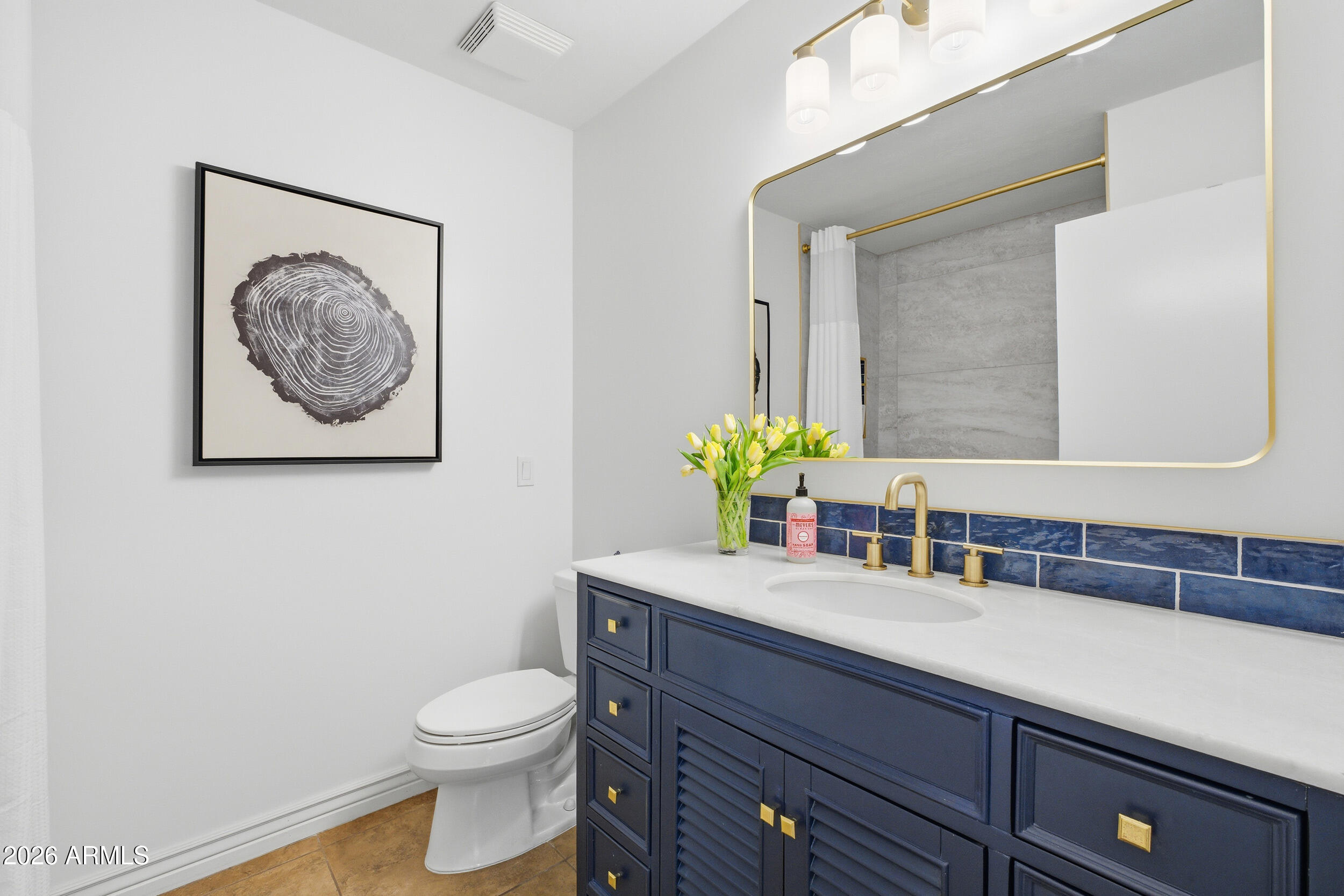 3541 East Cannon Drive Phoenix, AZ 85028 - Photo 28 of 42 a bathroom with a toilet a sink and mirror