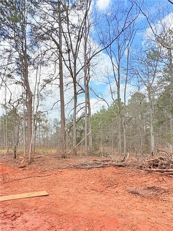 4013 Jersey Covington Road Covington, GA 30014 - Photo 24 of 29 a view of snow on the road