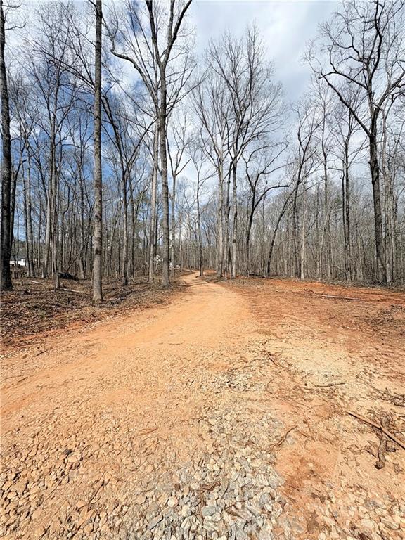 4013 Jersey Covington Road Covington, GA 30014 - Photo 28 of 29 a view of yard with trees