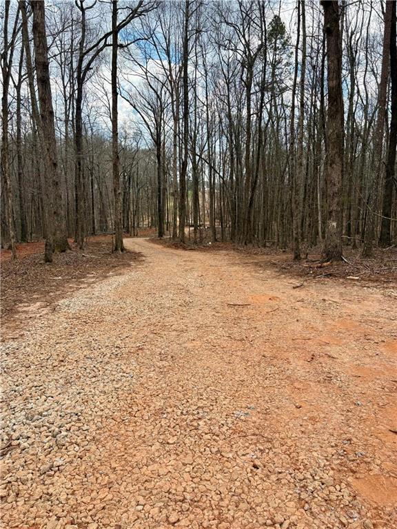 4013 Jersey Covington Road Covington, GA 30014 - Photo 29 of 29 a view of empty space with trees