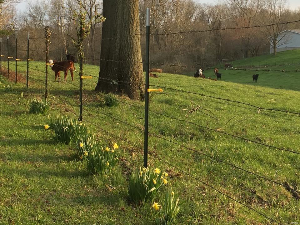 4159 South Peradotti Road Edwardsville, IL 62025 - Photo 27 of 28