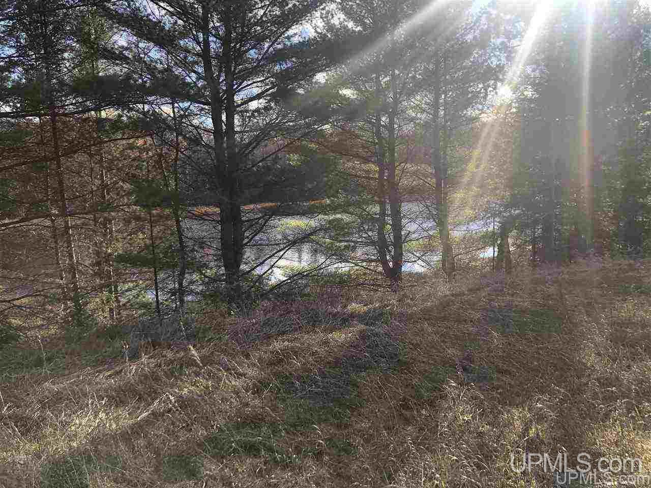 40 West Smith Lake Road Manistique, MI 49854 - Photo 4 of 24