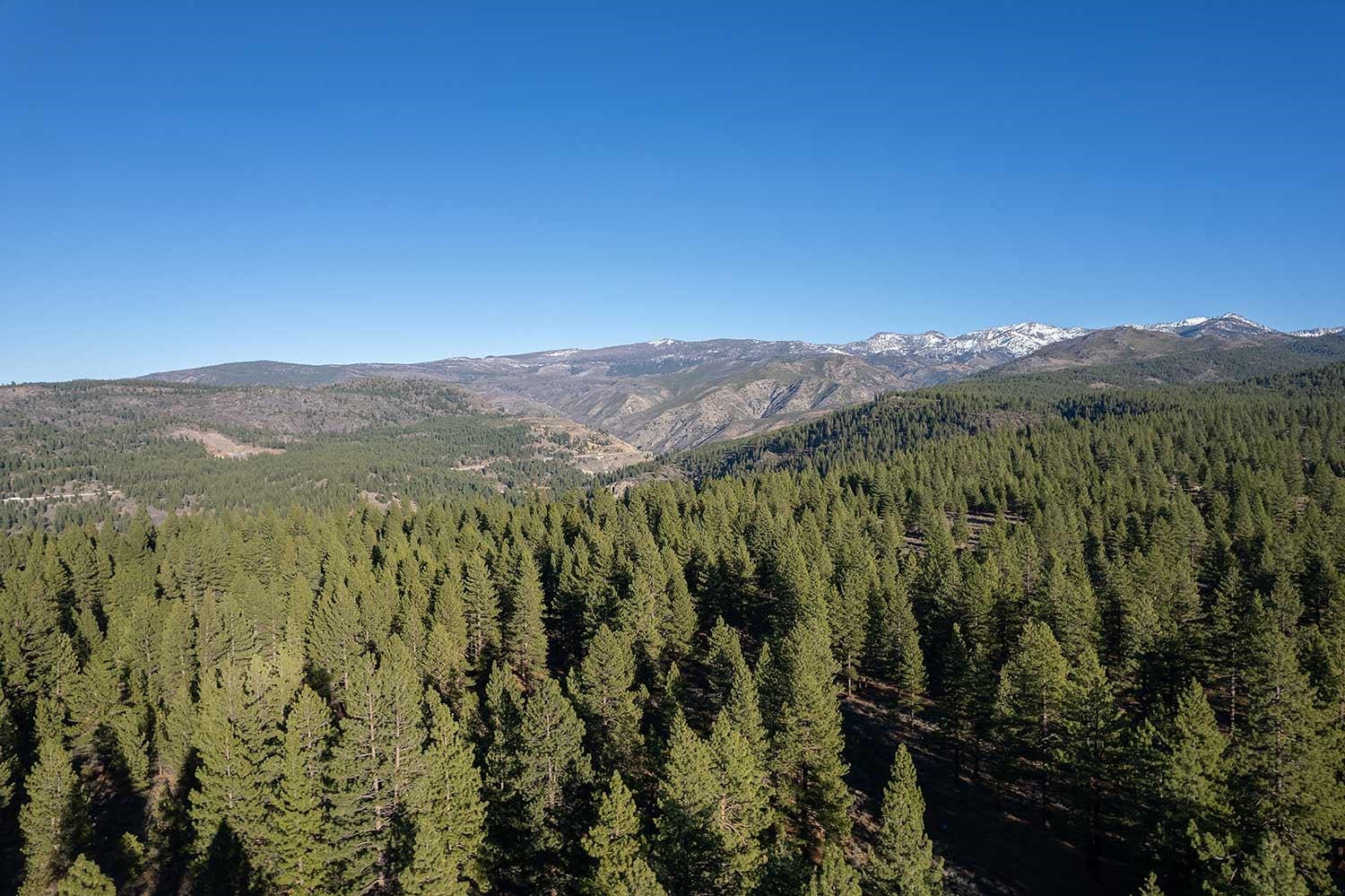 0 Glenshire Drive Truckee, CA 96161 - Photo 6 of 6 a view of a lush green forest with mountains in the background