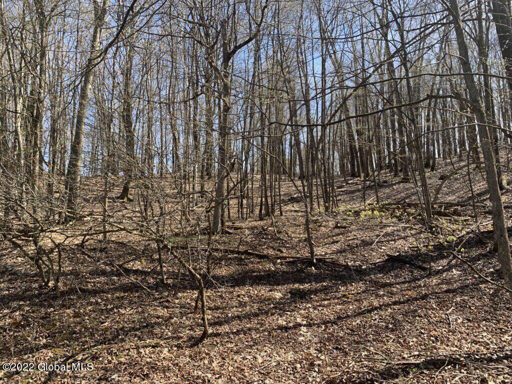1 Mitchell Road Hoosick Falls, NY 12090 - Photo 23 of 47 IMG_8264-1024x768