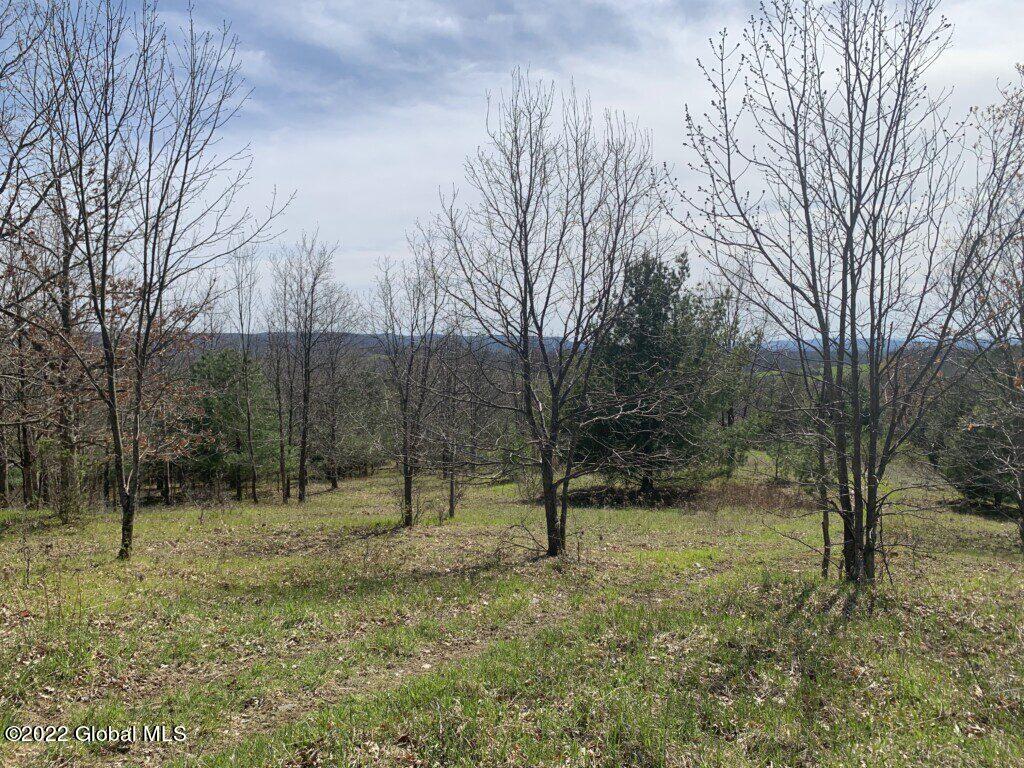 1 Mitchell Road Hoosick Falls, NY 12090 - Photo 40 of 47 IMG_8292-1024x768